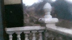 王祖蓝搞笑gif,笑点满满，欢乐无限