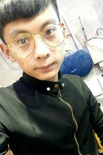 另类鹏资料,揭秘独特视角下的鹏城故事